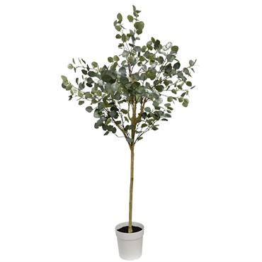 Algreen 71" Eucalyptus