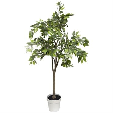 Algreen 53" Ficus Tree