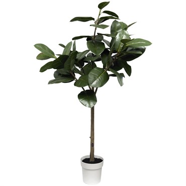 Algreen 67" Oak Tree
