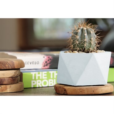 Geo 6.5" Pentagon Planter