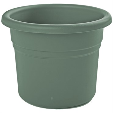 Bloem 6" Posy Planter Basil