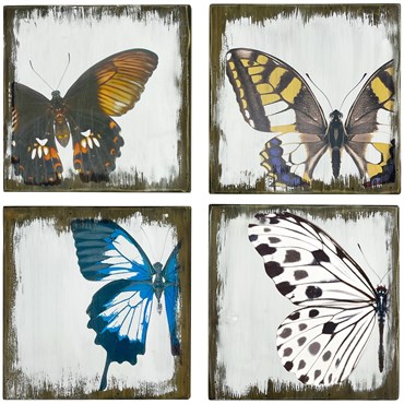 VCS 10" Wood Butterfly Plaques