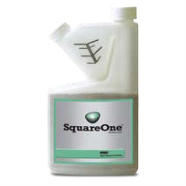 FMC Square One .5 Lb (12/Cs)
