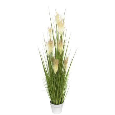Algreen 48" Short Reed Grass