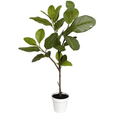 Algreen 38" Alpine Ficus