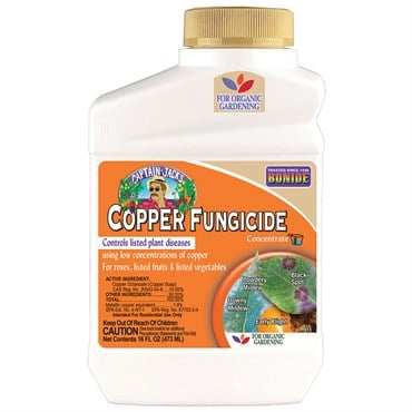 Captain Jacks Pt Liquid Copper Concentrate