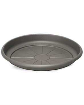 Crescent 7" Emma Saucer Charcoal