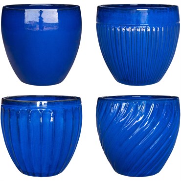 MCarr 40pc Mixed Planter Pallet Admiral Blue