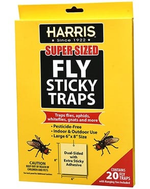 Harris 20pk Super-Size Fly Sticky Traps