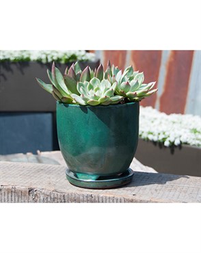 Verandah 7" Jade Maui Orchid Pot