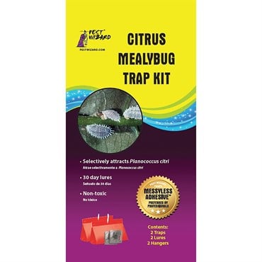 Pest Wizard 2pk Citrus Mealybug Kit