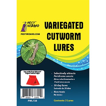 Pest Wizard 3pk Variegated Cutworm Lure