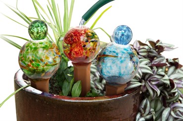 E-V 12pc Globe Plant Quencher Display Assortment