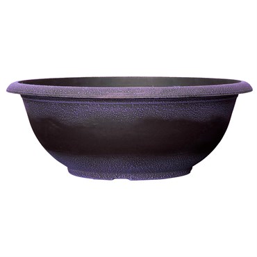 Grower Select 17.00 Sugar Sand Bowl Wisteria 3.3gal 50/CS - 16.9in OD X 6.3in H X 8.5in BD