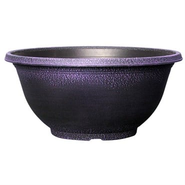 Grower Select 12.00 Sugar Sand Bowl Wisteria 1.6gal 51/CS - 12in OD X 5.5in H X 5.8in BD