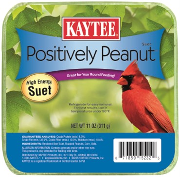 Kaytee 11oz Positively Peanut Suet