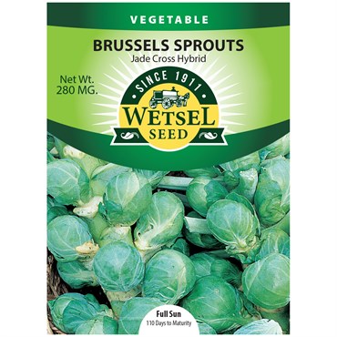 Brussel Sprouts, Jade Cross Hybrid - 280 Mg