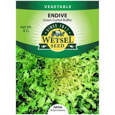 Endive, Green Curled Ruffic - 4 grams