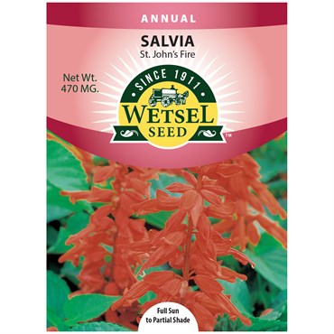 SALVIA, ST. JOHN'S FIRE 470 MG