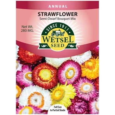 HELICHRYSUM,Strawflower SEMI-DWF Bouquet MX 280 MG