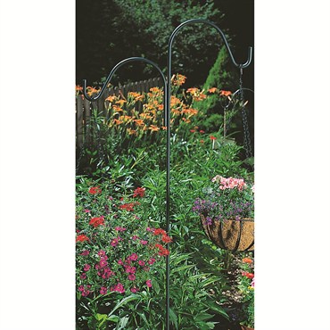 Panacea 84" Black Double Hook