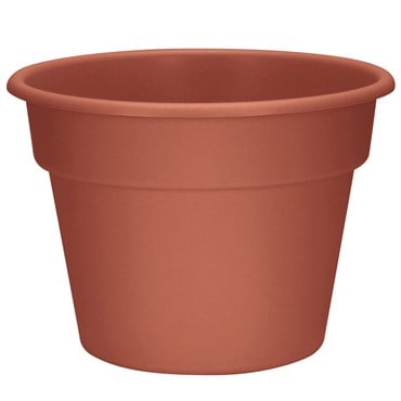 DLN 14.00 COLOR POT CL 20/CS 36CS/PL