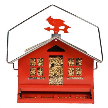 Perky Pet Squirrel Be Gone 8