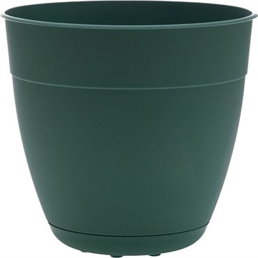 Bloem 8" Dayton Planter Turtle Green