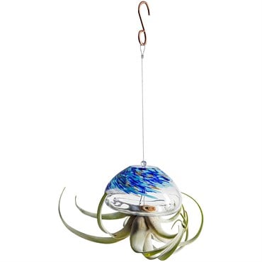 APM Air Plant Jellyfish Large Clear Blue
