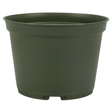 HC 6" Grower Pot Evergreen
