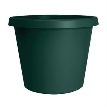 HC 6" Prima Planter Evergreen