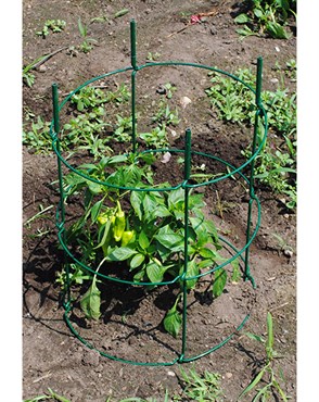 Cassie Cages 24" Tomato Corral Ext Green