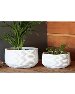 Avenue 8.5" Corrugated Bowl Planter WCC