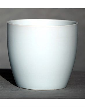Palm Spring 5.5" Pc Lily Cache MLB