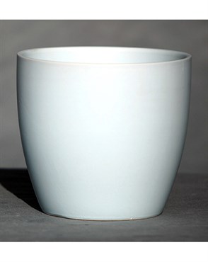 Palm Spring 6.5" Pc Lily Cache MLB