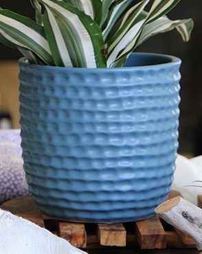 Palm Spring 9" Honey Comb Planter Lbl