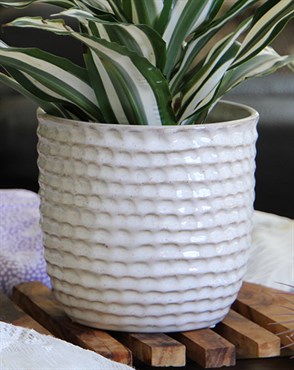Palm Spring 9" Honey Comb Planter Ssl