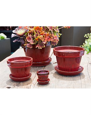 Verandah 5.5x4.5 with Saucer Trph Red