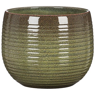 Scheurich 7" Wild Jungle 744/18 Planter