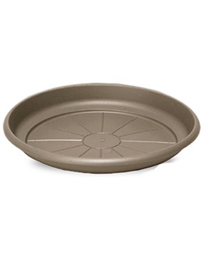 Crescent 7" Emma Saucer Cappuccino