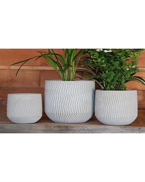 Avenue 5" Corrugated Cup Planter GCC
