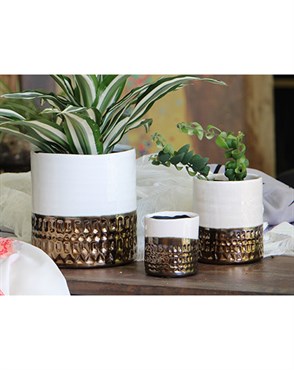 Jewel 4" Cache Pot Ivw