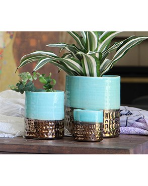Jewel 4" Cache Pot Thb