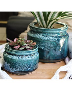 Jewel 4.5" Self Watering Pot Ems