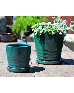 Verandah 7.5" Jade Kona Orchid Pot
