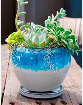 Verandah Gerberba Size B Mbl