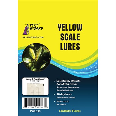 Pest Wizard 3pk Yellow Scale Lure