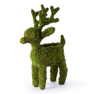 SuperMoss 4" Deco Standing Reindeer