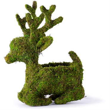 SuperMoss 4" Deco Sitting Reindeer