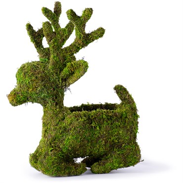 SuperMoss 6" Deco Sitting Reindeer